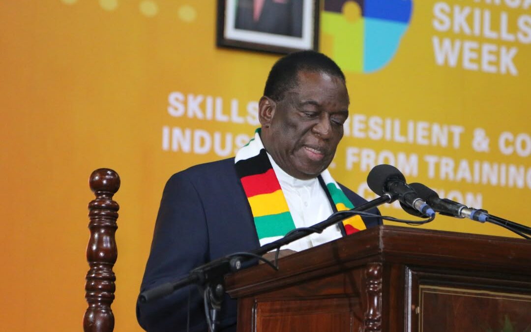 President Mnangagwa, German Envoy Back Africa Skills Drive