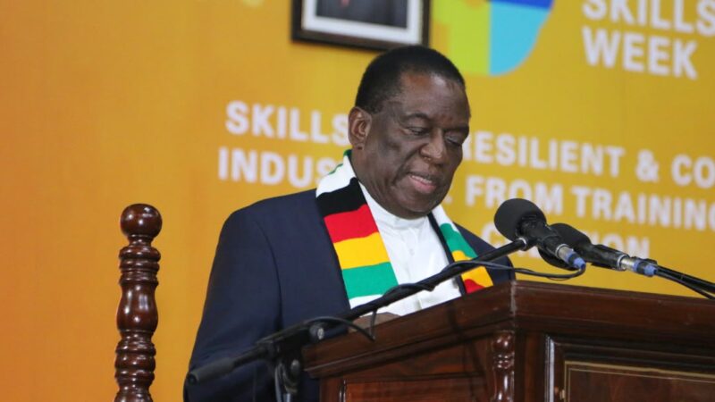 President Mnangagwa, German Envoy Back Africa Skills Drive