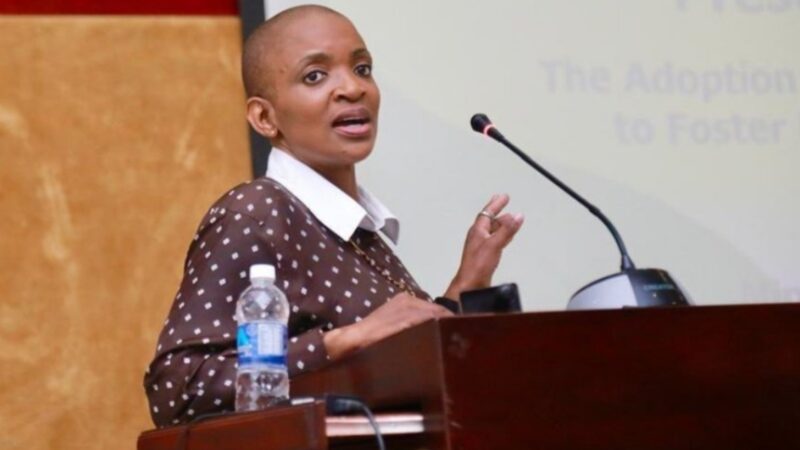 ‘Our Heritage Must Be Protected Celebrated Shared’ – Minister Rwodzi