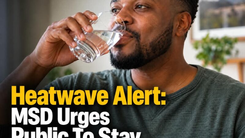Heatwave Alert: MSD Urges Public To Stay Hydrated