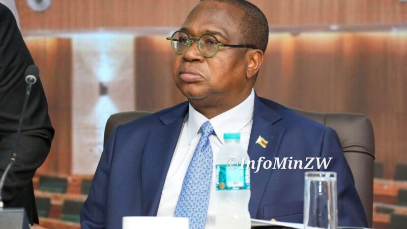Government Records ZiG36bn Fiscal Surplus in Nine Months